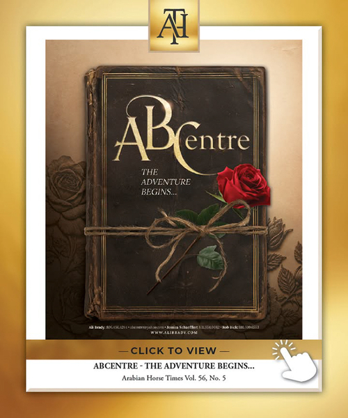 ABCentre - The Adventure Begins....
