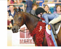 2017gallery