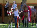 2015youthhorses