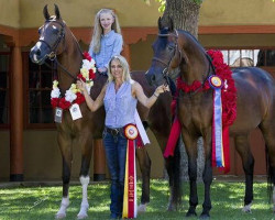 2015youthhorses