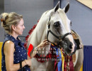 ali and masquerade pa